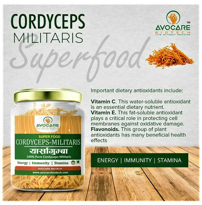 Avocare Biotech Cordyceps Militaris - Distacart