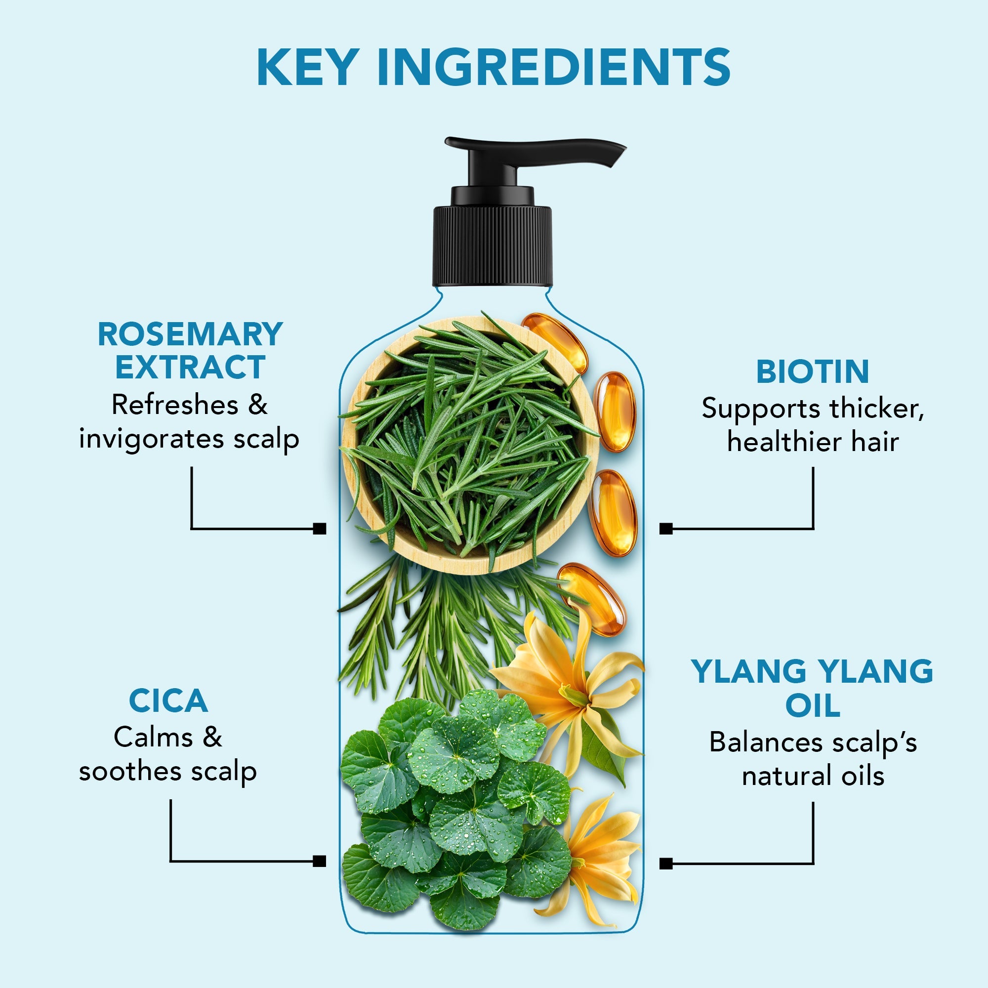 Volume & Growth Shampoo with blend of Rosemary & Cica - Distacart