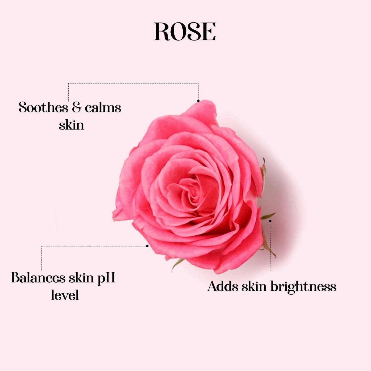 Alps Goodness Rose & Squalane Hydrating Gel Body Lotion - Distacart