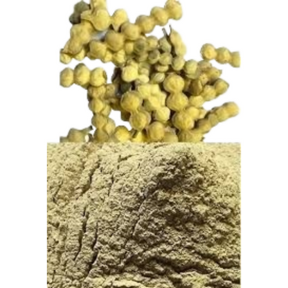 Nxtgen Ayurveda Babool Phali (Kikar) Powder - Distacart