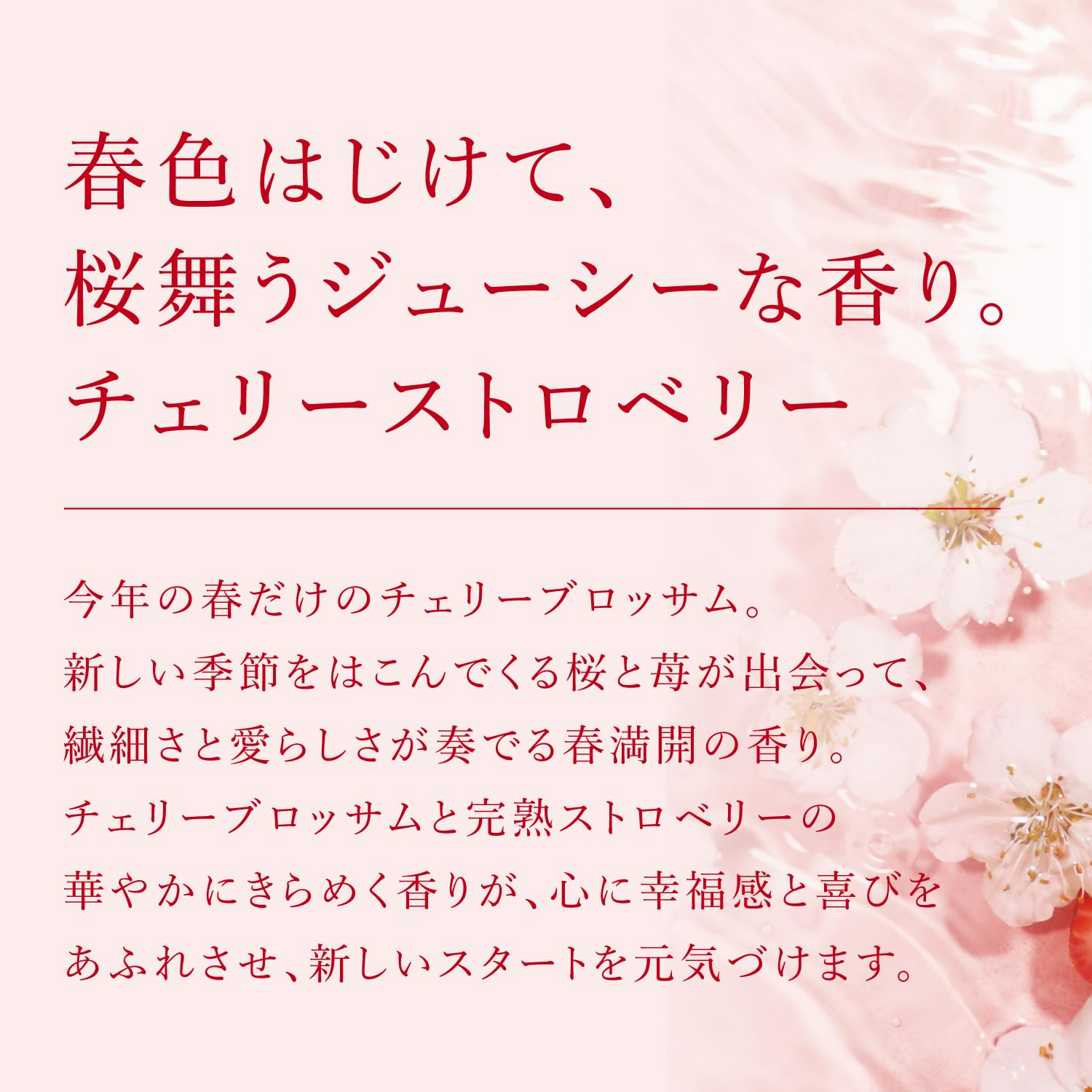 download - 2024-09-24T125927.743