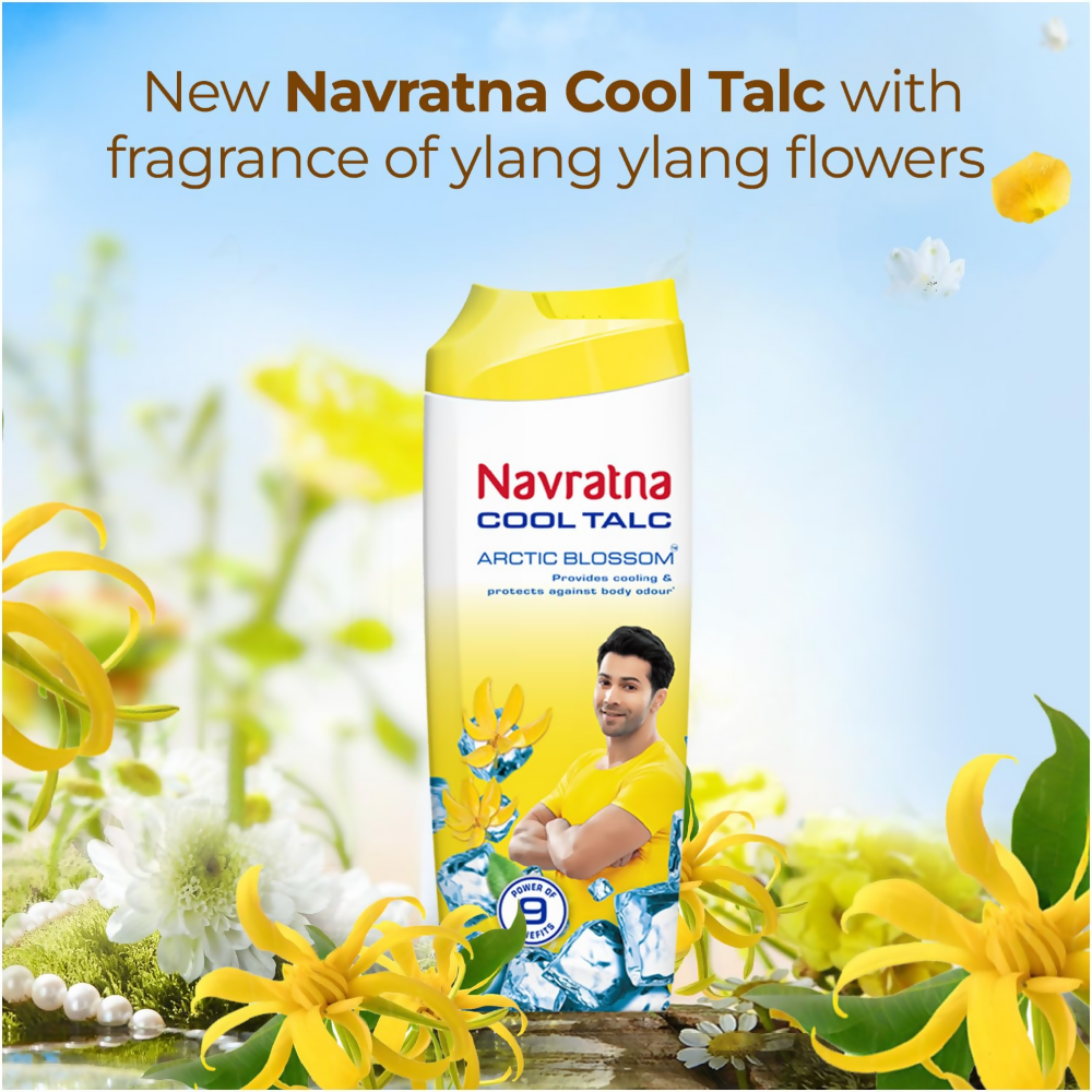 71BUHN8T6GL._SL1500 (1)