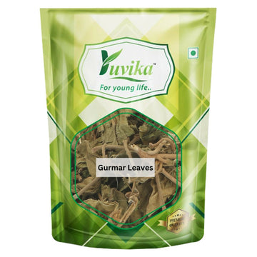 Yuvika Gurmar Leaves - Gudmar Leaves - Gymnema Sylvestre - Periploca Of The Woods - Distacart