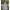 Lehenga Mart Glamorous Designer Lehenga Choli for Bridal and Bridesmaids Wedding Wear Choli - Distacart
