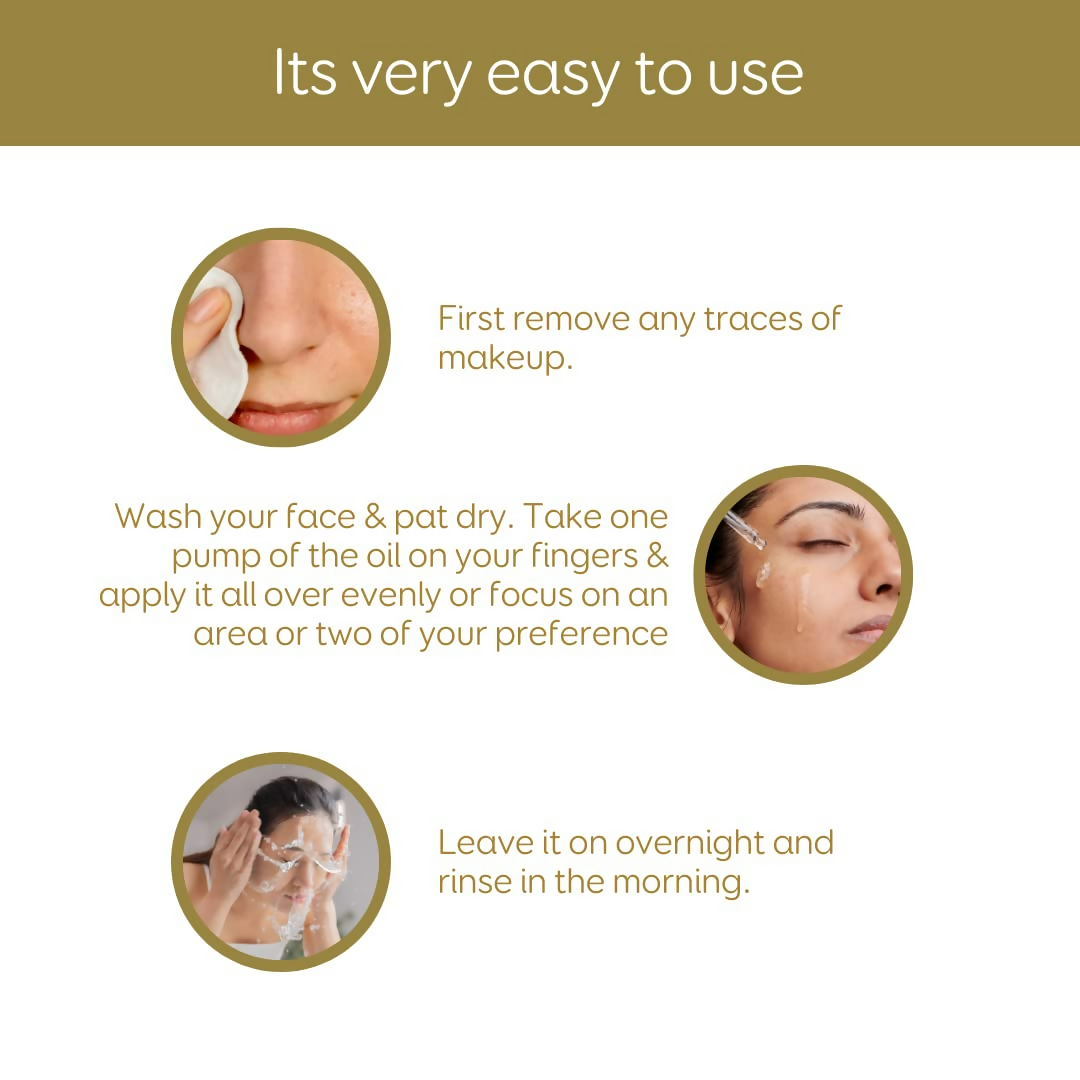 download - 2024-12-31T164532.461