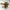 Brass Panch Pradeep - Distacart