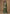 Vegaa Fashion Green Chinon Silk Embroidered Palazzo Suit