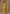 Vegaa Fashion Yellow Chinon Silk Embroidered Palazzo Suit