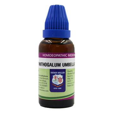 Father Muller Ornithogalum Umbellatum Mother Tincture Q - Distacart