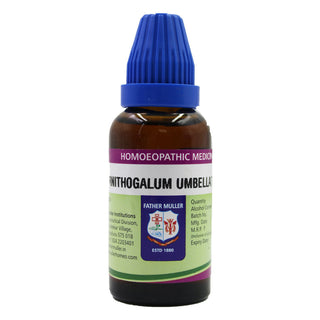 Father Muller Ornithogalum Umbellatum Mother Tincture Q - Distacart