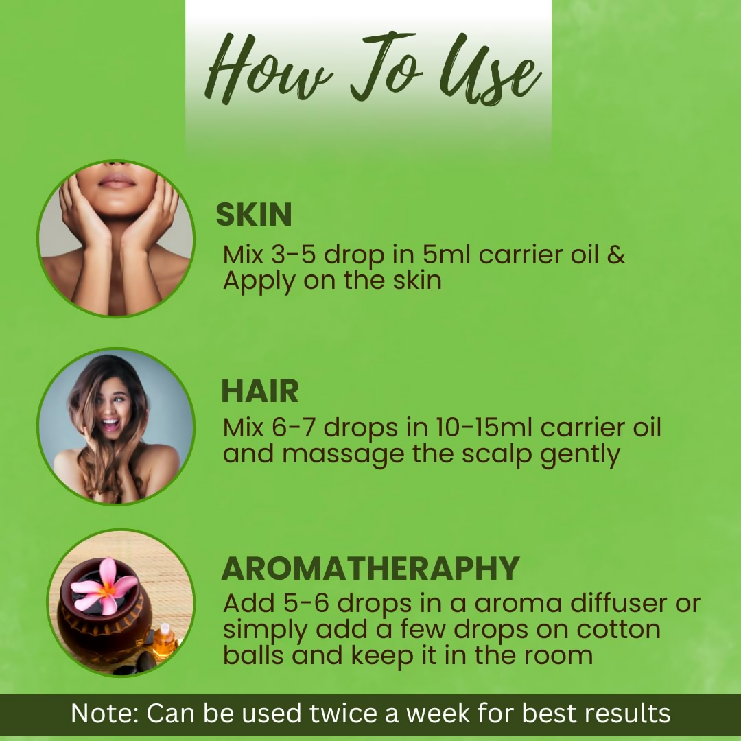 download - 2024-09-23T132701.060