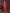 Ai Fashion Red Georgette Digital Print Party Wear Saree