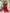 Preksha Creation Wedding Special Premium Roman Silk Coding Embroidery With Sequins Work Kurti Dupatta With Pant