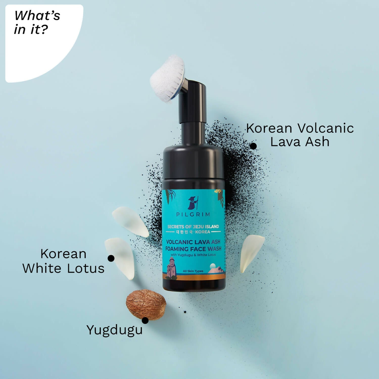Pilgrim Volcanic Lava Ash Foaming Face Wash with Brush - Distacart