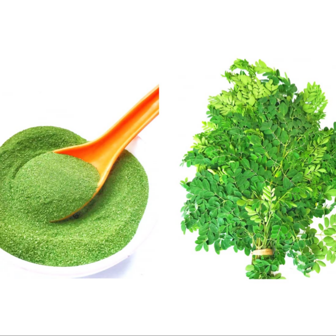Village-Organica Moringa Powder - Dista