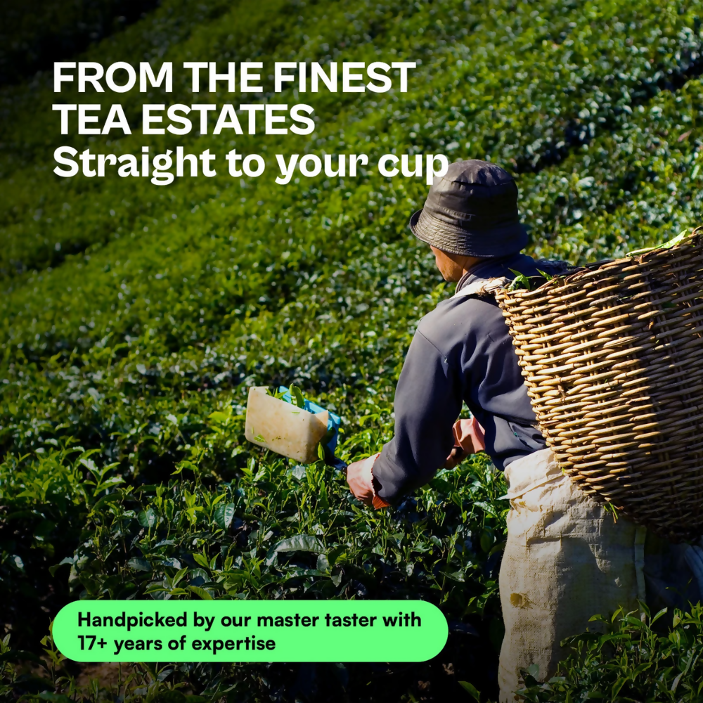 Udyan Tea Himalayan Mist Green Tea - Dista
