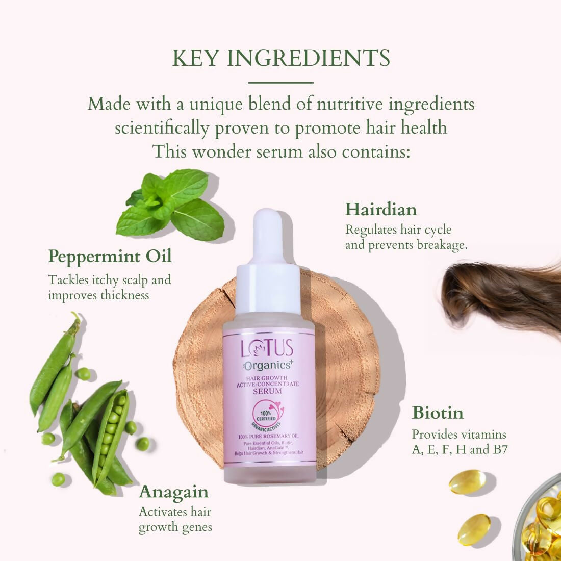 Lotus Organics+ Hair Growth Active Concentrate Serum for Hair Growth, Increases Thickness, Strengthens Hair Follicles - Distacart