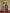 Astita Lichi Silk Teal Saree