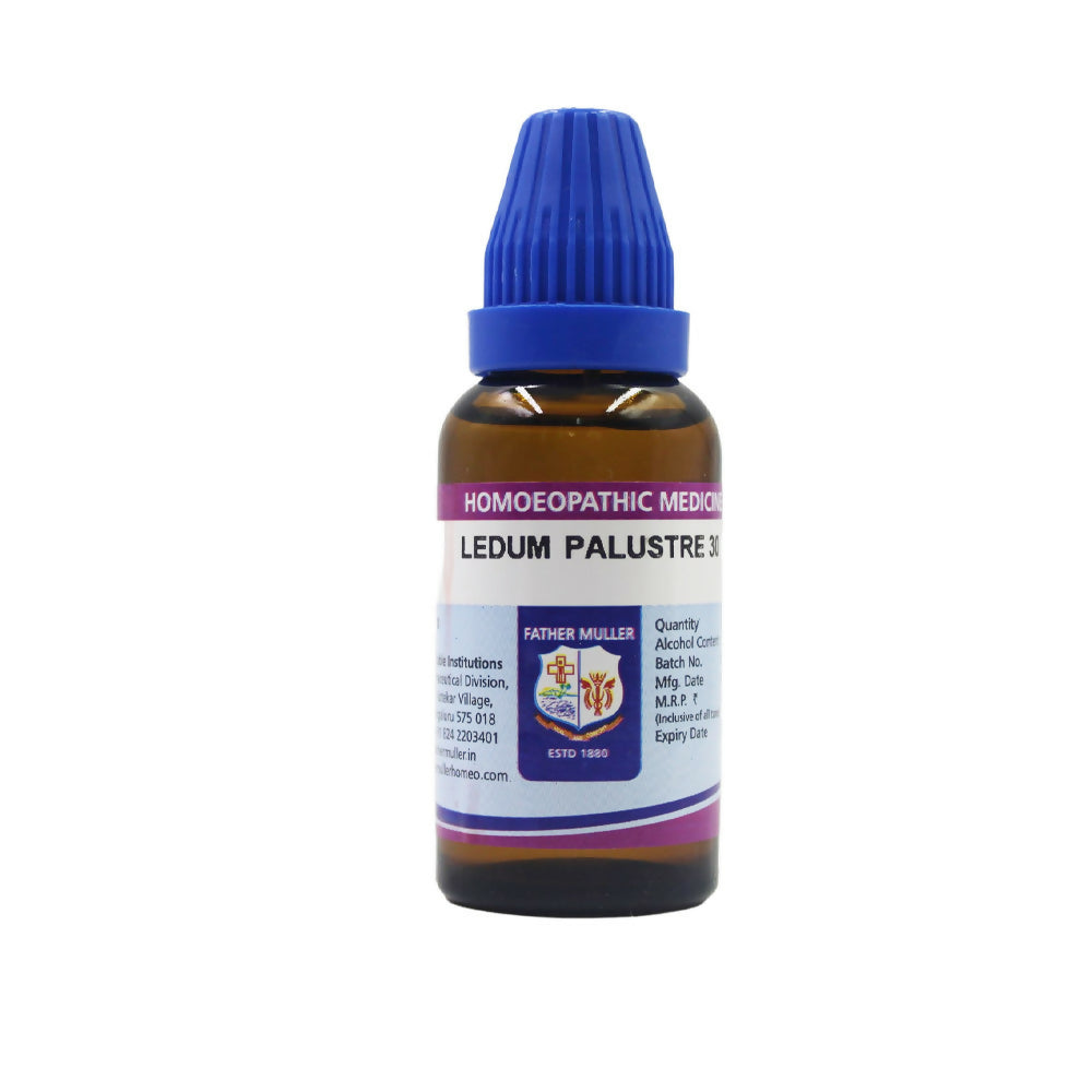 Father Muller Ledum Palustre Dilution - Distacart
