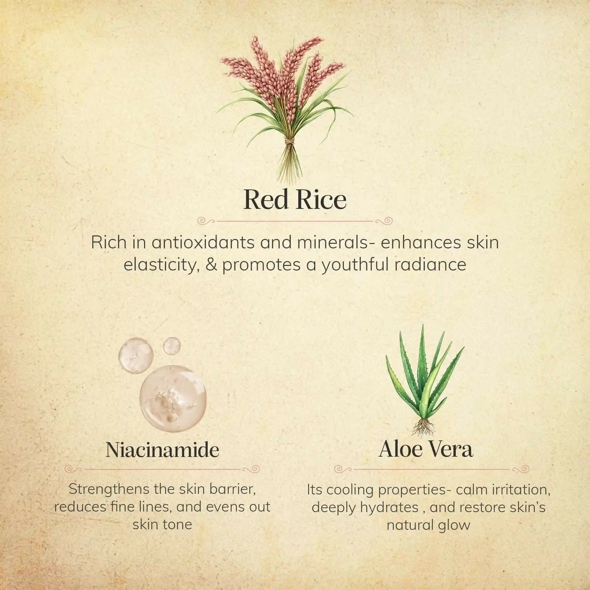 Chengavi Red Rice Face Serum