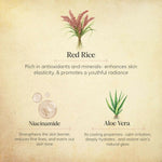 Thumbnail for Chengavi Red Rice Face Serum - Distacart