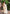 Yellow Pure Linen Ethnic Motifs Saree with Unstitched Blouse - A2M