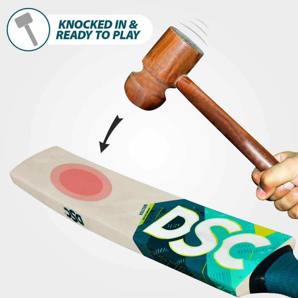 DSC Belter Wood Kashmir Willow Cricket Bat - Dista