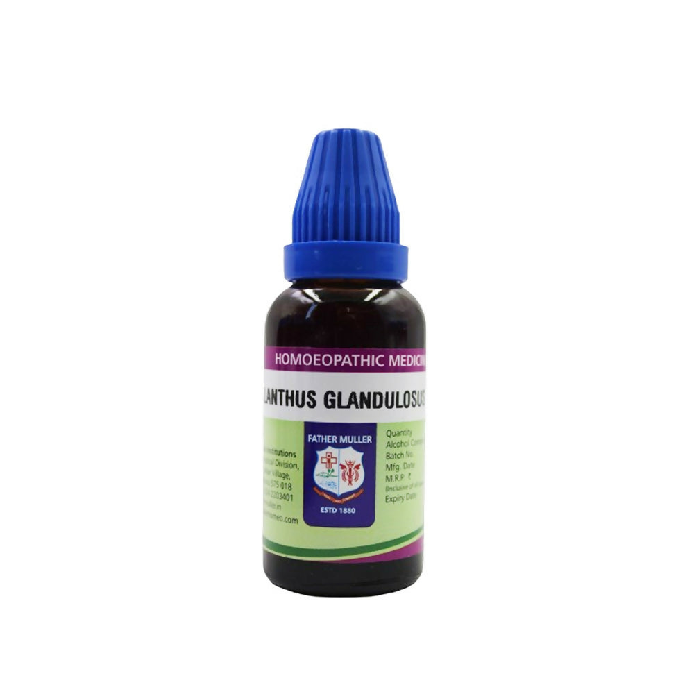 Father Muller Ailanthus Glandulosus Mother Tincture Q - Distacart