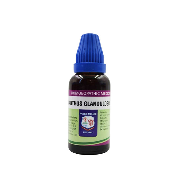 Father Muller Ailanthus Glandulosus Mother Tincture Q - Distacart