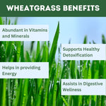Thumbnail for Herbal Hills Wheat-O-Power Wheatgrass Powder - Distacart