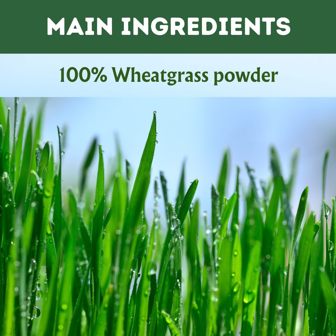 Herbal Hills Wheat-O-Power Wheatgrass Powder - Distacart