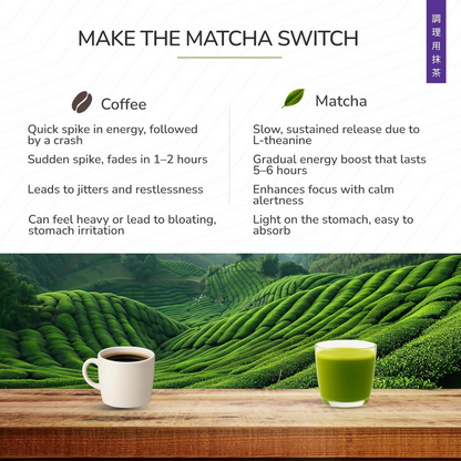 TeaFit Culinary Japanese Matcha Tea Powder - Distacart