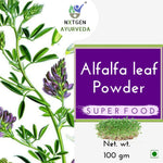 Thumbnail for Alfalfa Leaf Powder Benefits_ Improve Digestion, Boost Immunity, and More
