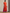 trueBrowns Orange Crinkle Slit Kurta Pant Set Relove