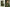 No Name Designer Salwar Suit - Test - Distacart