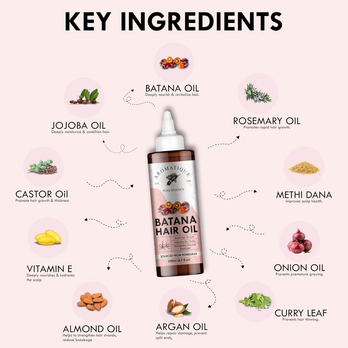 download - 2024-11-08T135948.815