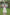 Evanik Navratri Off White Roamn Fabric With Kutchi Work Koti Style Blouse Stitched Lehenga Choli