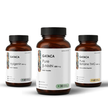 GATACA The Scale Stack (Pure β-NMN 500 mg, Apigenin 50 mg, Pure Betaine TMG 500 mg) - Distacart