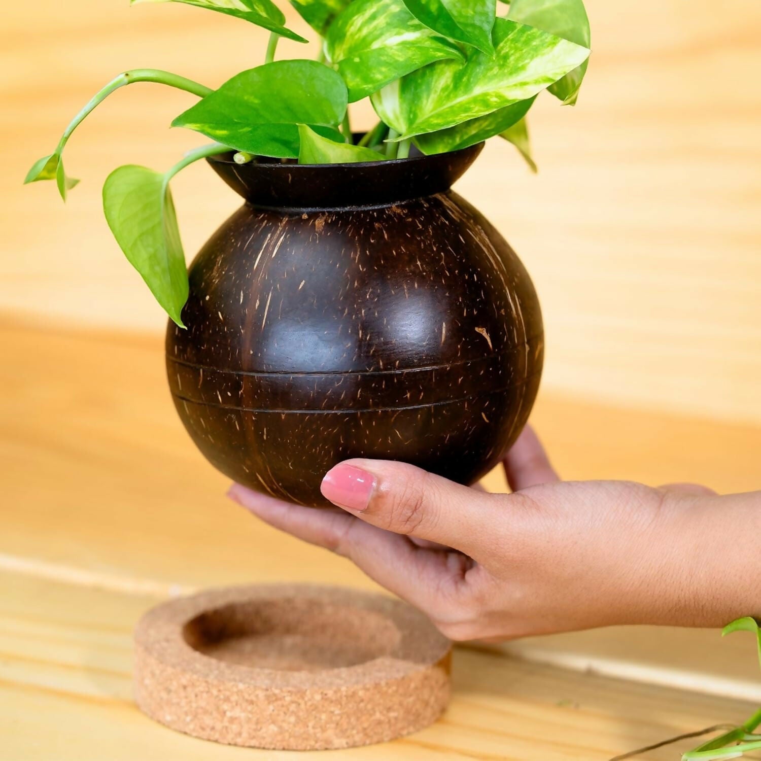 Thenga Handmade Coconut Shell Planter Pot with Cork Tray - Dista