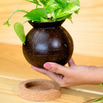 Thumbnail for Thenga Handmade Coconut Shell Planter Pot with Cork Tray - Dista