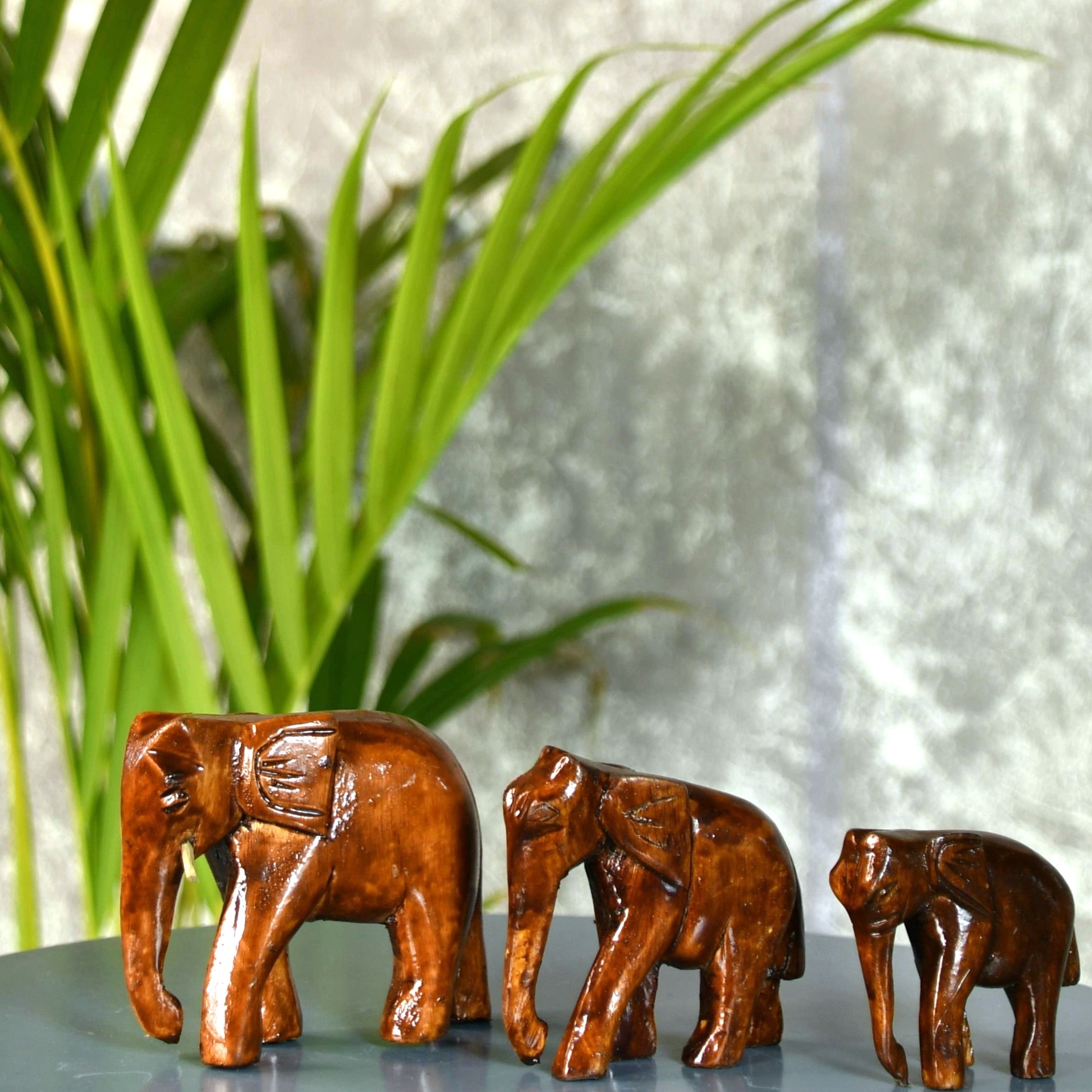 Sowpeace Rolling the trump