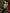 Sangria Woven Design Kurta & Trouser With Dupatta