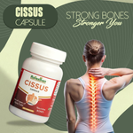Thumbnail for Rajasthan Herbals Cissus Capsules