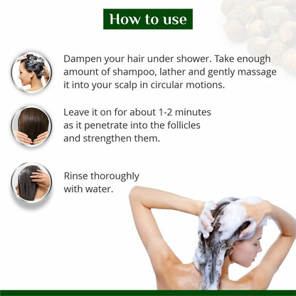 Globus Remedies Amla Reetha Shikakai Shampoo - Distacart