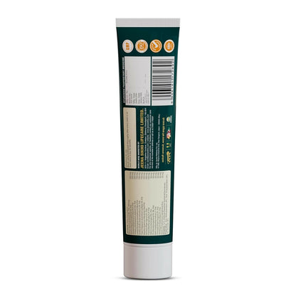 Jeena Sikho Dant Shuddhi Paste for Teeth & Gums - Dista