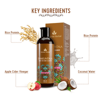 Thumbnail for Avimee Herbal Anti Hairfall Kit - Oil, Cleanser and Scalp Spray, Controls Hair Fall and Strengthens Hair Root, With Rosemary, Amla, Methi & Bhringraj