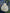 Joban Fashion Pearl Hand Work Potli Bag - Off White