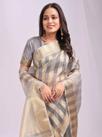 Thumbnail for Astita Organza Grey Saree