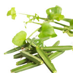 Thumbnail for Nxtgen Ayurveda Hadjod Powder