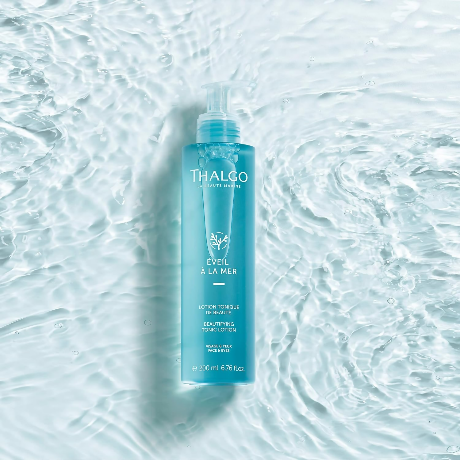 download - 2024-12-17T123435.842